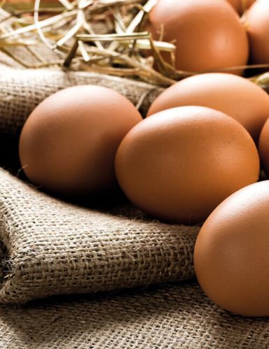 Rohstoffe Eier – Bäckerei Weymann in Twistringen, Bremen, Wildeshausen, Syke, Achim, Vechta, Ganderkesee
